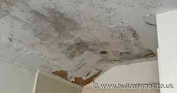 Landlord in court over mouldy property that 'compromised health and safety of the tenants'