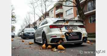 Gefrustreerde bewoner bekogelen lawaaiige auto's