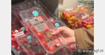 TikTok-ananastrend in Spanje met een Brabantse tomatentwist