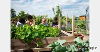 Bedrijven en scholen in Noordoost-Brabant starten voedseleducatieprogramma