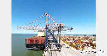 Zuid-Afrikaanse citrusexport afgeremd door wind