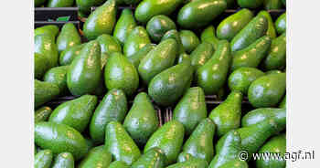 Zuid-Afrika: Afzet avocado en macadamianoten stijgt, terwijl citrus moeilijkheden ondervindt