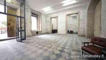 Evidente insonne, la mostra