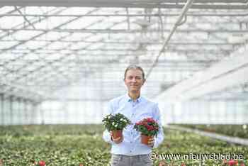 Vrijwilligers verkopen azalea’s voor Kom Op Tegen Kanker aan de winkel, de bibliotheek en op de boerenmarkt