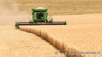 Amerikanen de spelbreker op de tarwemarkt