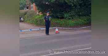 Brentwood murder probe: Police pictured at crime scene