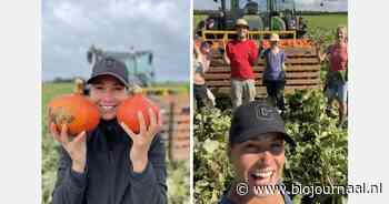 "Hoe vult de boerderij van de toekomst arbeid in tijdens de piektijden?"