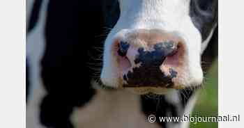 Dutch Dairy Challenge 2025 gaat van start