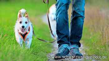 Nach Vorfall in Neubulach: Vergiftung: Das sollten Hundebesitzer wissen