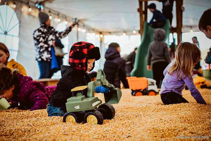 Corn maze and cows: Kuehnert Fall Festival 2024
