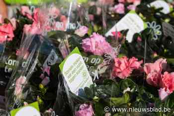 30ste editie plantjesactie Kom Op Tegen Kanker dit weekend