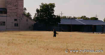 In Montana, Agnes Denes Installs a Wheat Field at an Exhibition Space