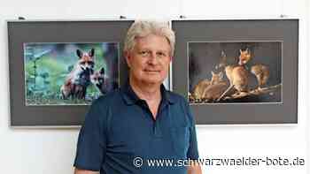 Fotoausstellung in Altensteig: Habicht muss sich erst an das Objektiv gewöhnen