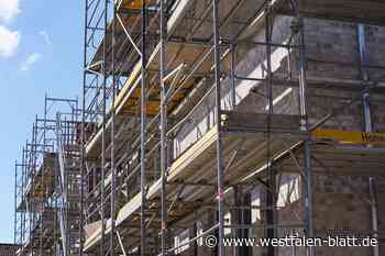 Entscheidung gefallen: Es gibt vier neue Baugrundstücke in Borgentreich