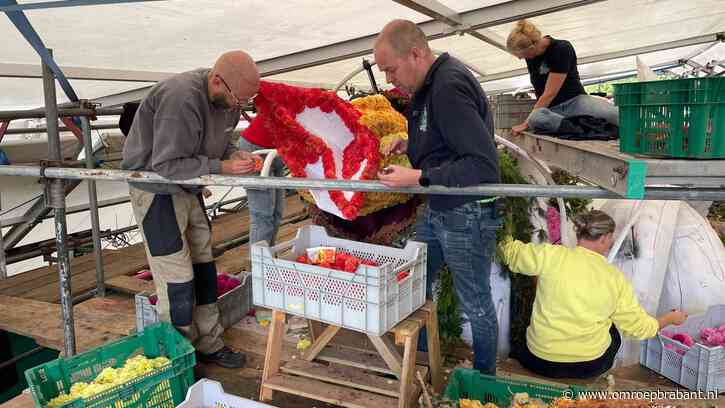 Vanuit het hele land komen dahlia's naar Valkenswaard: 'Geweldig!'