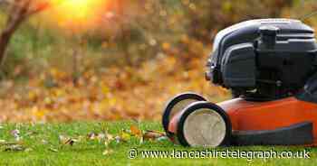 When should you stop mowing your lawn? Expert tips on winter preparation