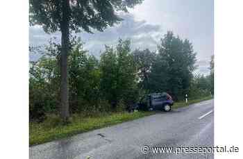 POL-HI: Schwerer Baumunfall fordert eine schwerverletzte Person
