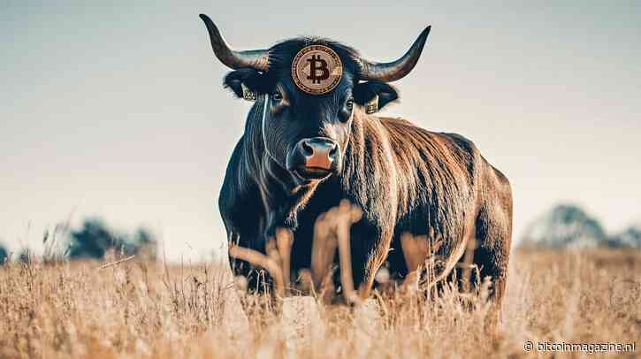 Bitcoin (BTC) op het punt van doorbraak naar record hoogte, zegt crypto-analist Jason Pizzino