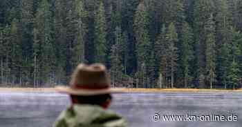 Hochwasser: Wo drohen Überschwemmungen? So ist die Lage in den Bundesländern