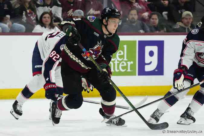 Edmonton Oilers sign defenceman Travis Dermott to professional tryout