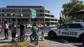 Onrustig in Springfield na Trumps bewering dat huisdieren worden opgegeten