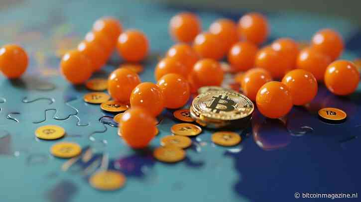 De 66-bit bitcoin puzzel: Een fout die 6.6 BTC kostte