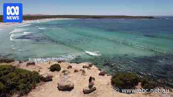 Passionate community push for National Surf Reserve as rocket-launch complex looms