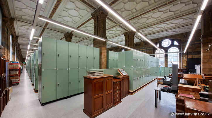 Natural History Museum reveals £550 million redevelopment plan