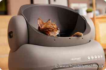 Review: Neakasa M1 Cat Litter Box mixes convenience and hygiene