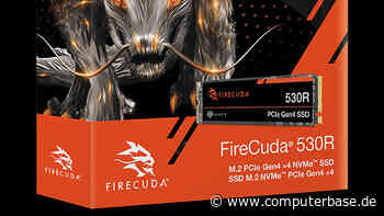FireCuda 530R: Seagate bringt Refresh der schnellen PCIe-4.0-SSD