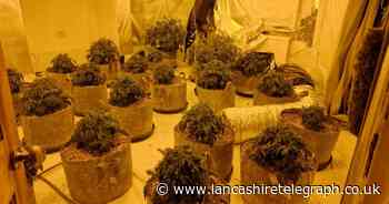 'Drugs are not welcome' say police as cannabis setup discovered in house