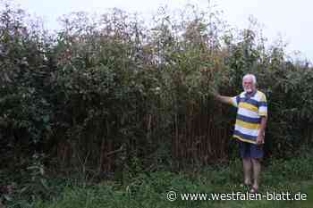 Sorgen beim Ortsteilgespräch in Tengern