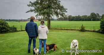 Roelof en Mieke wonen straks midden in een enorm zonneveld: ‘Slapeloze nachten, om verdrietig van te worden’