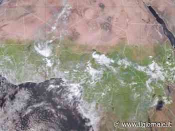 Il Sahara meridionale diventa "verde": quali sono le due cause
