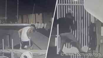 ‘Plundering like pirates': Video shows 2 men burglarizing boat at Black Point Marina