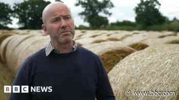 Farmer's financial fears after wet harvest