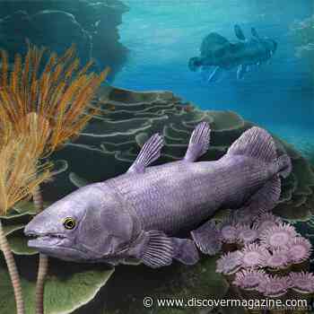 Pivotal Ancient Fish Fossils Mark a Key Turning Point in a Slow Evolution