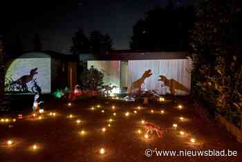 Lichtjeswandeling betovert weer meer dan duizend wandelaars in Pulderbos