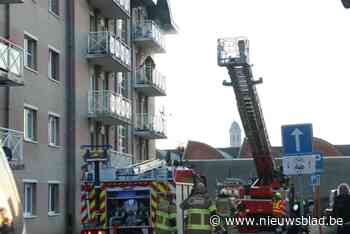 Hondje gered uit brand in appartement (nadat het zich had verstopt in een kast)