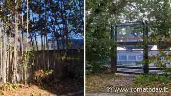 Il passaggio dei treni rende le notti insonni: “Fino a mezzanotte il rumore è assordante”