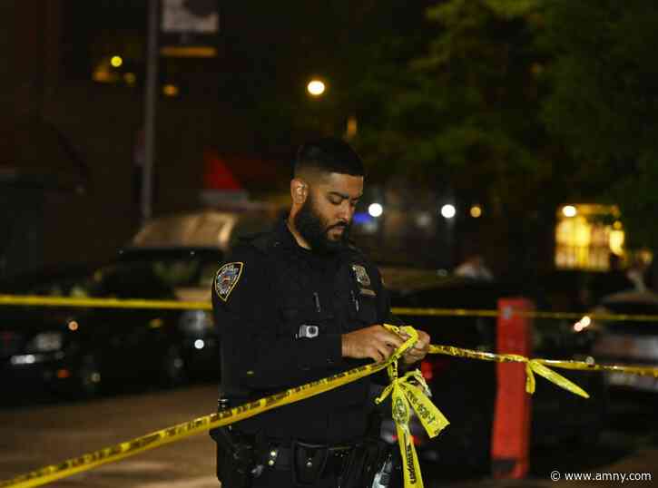 Bronx man shot dead outside apartment building: NYPD