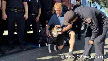 Dog saves bed-ridden woman's life in Calif. house fire