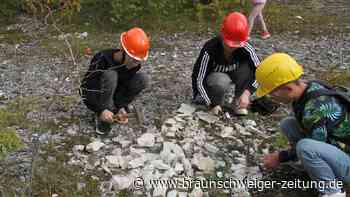 Wieso kleine Forscher in Salzgitters Steinbruch Fossilien suchten