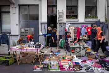 IN BEELD. Bewoners van Haantjeslei zetten hun straat in de bloemetjes