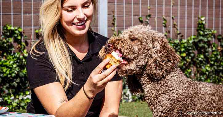 Beauty-arrangement, hondenwijntje en klassieke muziek: vijfsterren-vakantie voor je huisdier