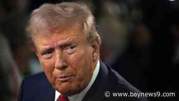 Trump safe after ‘gunshots in his vicinity,’ campaign and Secret Service say