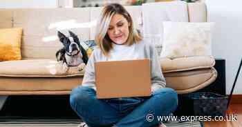 ‘Little-known’ savings account offers 50% bonus interest rate - can you apply?