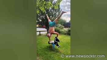 Finding balance on the horse spring rocker like a pro! #acrobat