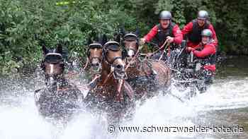 13./14./15. September: Das war am Wochenende in der Region los