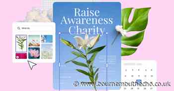 Raise awareness with free Charity Templates from Adobe Express 